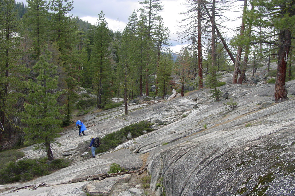 Campsite scene 2005
