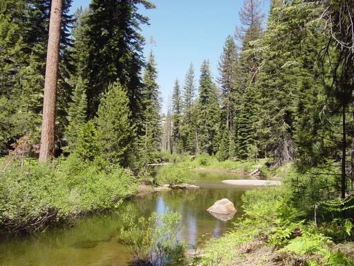The Stanislaus River and meadow near the Kegger campsite, 2006